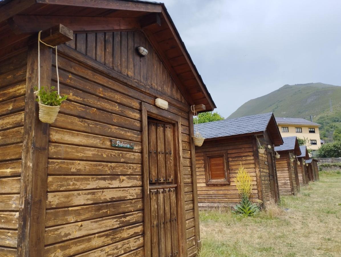 Camping La Zarapica - Palacios Del Sil Экстерьер фото